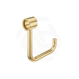 Fienza 145mm Round Care Toilet Roll Holder for Grab Rail SS304 Variant Color Available