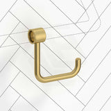 Fienza 145mm Round Care Toilet Roll Holder for Grab Rail SS304 Variant Color Available