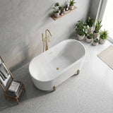Fienza Aluca Acrylic Oval Freestanding Bathtub with Overflow & Adjustable Legs 1500/1700mm - Variant Colour