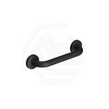 Fienza 300/450/600/900mm Care Accessible Grab Rail Stainless Steel/Matt Black