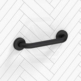 Fienza 300/450/600/900mm Care Accessible Grab Rail Stainless Steel/Matt Black