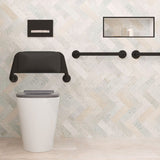 Fienza 300/450/600/900mm Care Accessible Grab Rail Stainless Steel/Matt Black
