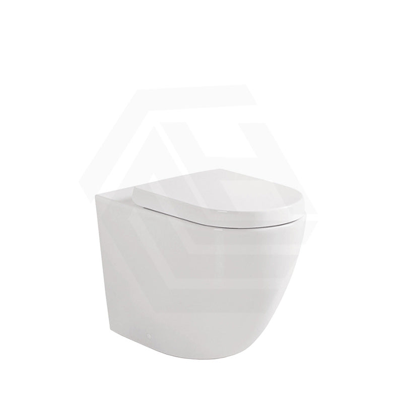 Fienza Koko Rimless Tornado Flush Wall-Faced Pan Toilet Only 570x360x445mm - Variant Colour