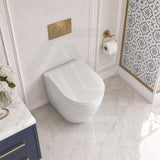 Fienza Koko Rimless Tornado Flush Wall-Faced Pan Toilet Only 570x360x445mm - Variant Colour