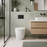 Fienza Koko Rimless Tornado Flush Wall-Faced Pan Toilet Only 570x360x445mm - Variant Colour