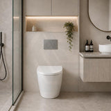 Fienza Koko Rimless Tornado Flush Wall-Faced Pan Toilet Only 570x360x445mm - Variant Colour