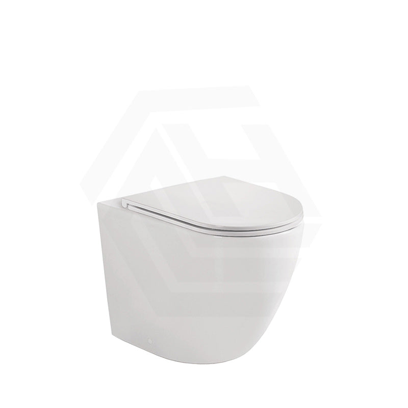 Fienza Koko Rimless Tornado Flush Wall-Faced Pan Toilet Only 570x360x445mm - Variant Colour