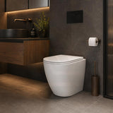 Fienza Koko Rimless Tornado Flush Wall-Faced Pan Toilet Only 570x360x445mm - Variant Colour