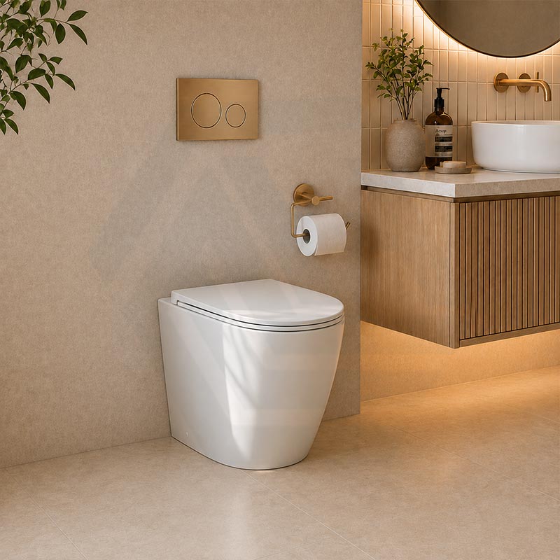 Fienza Koko Rimless Tornado Flush Wall-Faced Pan Toilet Only 570x360x445mm - Variant Colour