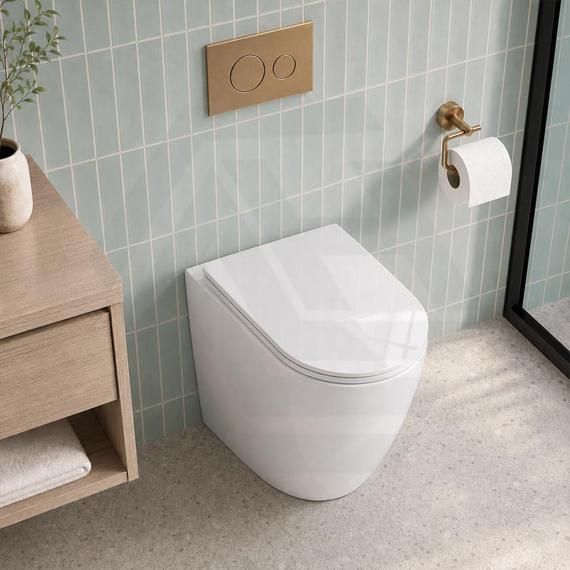 Fienza Koko Rimless Tornado Flush Wall-Faced Pan Toilet Only 570x360x445mm - Variant Colour