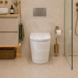 Fienza Koko Rimless Tornado Flush Wall-Faced Pan Toilet Only 570x360x445mm - Variant Colour
