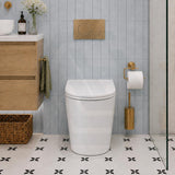 Fienza Koko Rimless Tornado Flush Wall-Faced Pan Toilet Only 570x360x445mm - Variant Colour