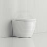 Fienza Koko Rimless Tornado Flush Wall-Faced Pan Toilet Only 570x360x445mm - Variant Colour