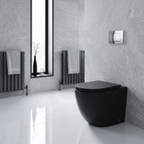 Fienza Koko Rimless Tornado Flush Wall-Faced Pan 570x360x445mm - Matt Black