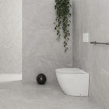 Fienza Koko Rimless Tornado Flush Wall-Faced Pan 570x360x445mm - Matt White