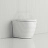 Fienza Koko Rimless Tornado Flush Wall-Faced Pan Toilet Only 570x360x445mm - Variant Colour