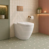 Fienza Koko Rimless Tornado Flush Wall-Faced Pan Toilet Only 570x360x445mm - Variant Colour