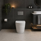 Fienza Koko Rimless Tornado Flush Wall-Faced Pan Toilet Only 570x360x445mm - Variant Colour