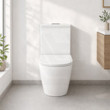 Fienza Koko 660x385x850mm Back to Wall Rimless Tornado Toilet Suite Cistern System/Seat Available - Gloss White
