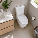 Fienza Koko 660x385x850mm Back to Wall Rimless Tornado Toilet Suite Cistern System/Seat Available - Gloss White