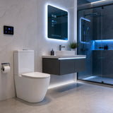 Fienza Koko 660x385x850mm Back to Wall Rimless Tornado Toilet Suite Cistern System/Seat Available - Gloss White