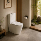 Fienza Koko 660x385x850mm Back to Wall Rimless Tornado Toilet Suite Cistern System/Seat Available - Gloss White