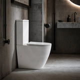 Fienza Koko 660x385x850mm Back to Wall Rimless Tornado Toilet Suite Cistern System/Seat Available - Gloss White