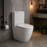 Fienza Koko 660x385x850mm Back to Wall Rimless Tornado Toilet Suite Cistern System/Seat Available - Gloss White