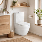 Fienza Koko 660x385x850mm Back to Wall Rimless Tornado Toilet Suite Cistern System/Seat Available - Gloss White