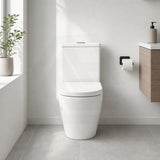 Fienza Koko 660x385x850mm Back to Wall Rimless Tornado Toilet Suite Cistern System/Seat Available - Gloss White