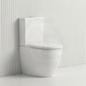 Fienza Koko Rimless Tornado Back to Wall Toilet Suite with UF Seat 660x385x850mm - Various Colours