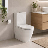 Fienza Koko Rimless Tornado Back to Wall Toilet Suite with UF Seat 660x385x850mm - Various Colours