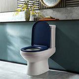 Fienza Stella UF Anti-Lateral Care Toilet Seat 445x365x28mm - Gloss Blue