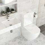 615x385x870mm Fienza Alix Rimless Tornado Back to Wall Toilet Suite Gloss White