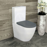 Fienza Alix Rimless Tornado Back to Wall Toilet Suite Gloss White with Gloss Grey Seat