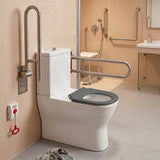 Fienza Delta Care Back to Wall Toilet Suite 800x365x875mm - Gloss White