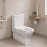 Fienza Delta Care Back to Wall Toilet Suite 800x365x875mm - Gloss White
