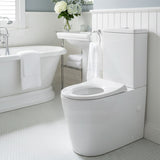 Fienza Isabella Junior Rimless Tornado Flush Back to Wall Toilet Suite  Anti-Vandal Kit Available 600x335x755mm - Variant Colour Seat