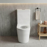 Fienza Isabella Junior Rimless Tornado Flush Back to Wall Toilet Suite  Anti-Vandal Kit Available 600x335x755mm - Variant Colour Seat