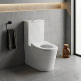 Fienza Isabella Junior Rimless Tornado Flush Back to Wall Toilet Suite  Anti-Vandal Kit Available 600x335x755mm - Variant Colour Seat