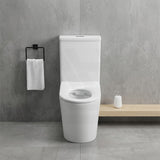 Fienza Isabella Junior Rimless Tornado Flush Back to Wall Toilet Suite  Anti-Vandal Kit Available 600x335x755mm - Variant Colour Seat