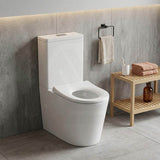 Fienza Isabella Junior Rimless Tornado Flush Back to Wall Toilet Suite  Anti-Vandal Kit Available 600x335x755mm - Variant Colour Seat