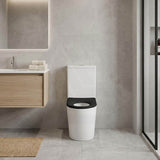 Fienza Isabella Junior Rimless Tornado Flush Back to Wall Toilet Suite  Anti-Vandal Kit Available 600x335x755mm - Variant Colour Seat