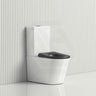 Fienza 600x335x755mm Isabella Junior Rimless Tornado Flush Back to Wall Toilet Suite with White/Black Seat & Anti-Vandal Kit Available