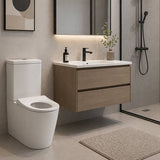 Fienza Isabella Junior Rimless Tornado Flush Back to Wall Toilet Suite  Anti-Vandal Kit Available 600x335x755mm - Variant Colour Seat