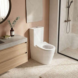Fienza Isabella Junior Rimless Tornado Flush Back to Wall Toilet Suite  Anti-Vandal Kit Available 600x335x755mm - Variant Colour Seat
