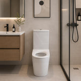 Fienza Isabella Junior Rimless Tornado Flush Back to Wall Toilet Suite  Anti-Vandal Kit Available 600x335x755mm - Variant Colour Seat