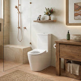 Fienza Isabella Junior Rimless Tornado Flush Back to Wall Toilet Suite  Anti-Vandal Kit Available 600x335x755mm - Variant Colour Seat