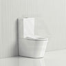 Fienza 600x335x755mm Isabella Junior Rimless Tornado Flush Back to Wall Toilet Suite with White/Black Seat & Anti-Vandal Kit Available