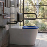 Fienza Isabella Special Care Wall Faced Toilet Pan Rimless Flush Seat 800x365x435mm - Gloss White